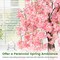 Single 5.5 FT Cherry Blossom Artificial Tree with Lifelike Pink Blooms